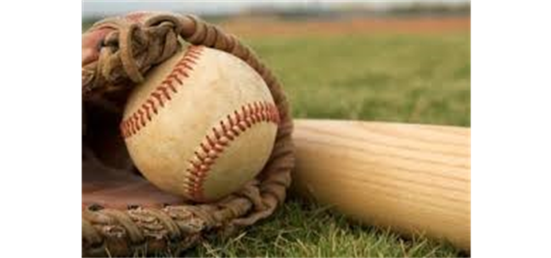 2023 WSLL Fundraiser